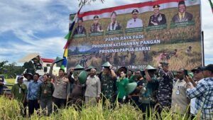 Swasembada Pangan Papua Bukti Nyata Keberhasilan Setahun Ketahanan Pangan Nasional