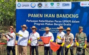 Mengapresiasi Setahun Program MBG Dorong Pertumbuhan UMKM dan Petani Lokal