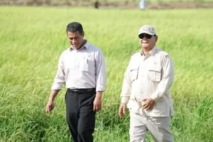 Pemerintah Targetkan 18 Proyek Hilirisasi Rp618 Triliun Hingga Akhir Tahun