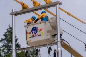 Elektrifikasi Desa Papua sebagai Fondasi Keadilan Pembangunan Nasional
 