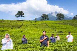 Value Chain Pangan: Peran Hilirisasi dalam Ketahanan Pangan Nasional