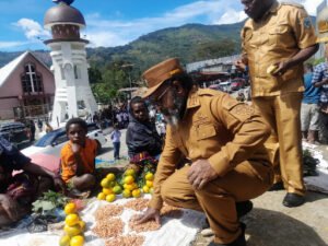 PSN di Papua Pegunungan Dorong Kemandirian Ekonomi dan Pangan