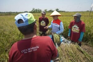 Swasembada Pangan Jadi Bukti Keberhasilan Program Strategis Presiden Prabowo
