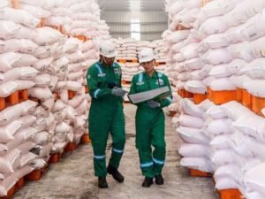 Pupuk Indonesia Amankan Bahan Baku Fosfat Global untuk Jaga Swasembada Pangan Berkelanjutan