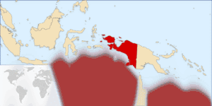 Berkedok Perjuangan, Aksi Brutal OPM Ancam Masa Depan Anak Papua