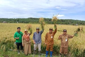2 Tahun Pragib, Indonesia Sukses Swasembada Pangan, Diantaranya Beras dan Jagung