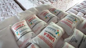 Swasembada Pangan dan Pupuk Terjangkau Jadi Prioritas Pemerintah
