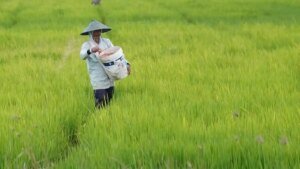 Ketahanan Pangan dan Momentum Penguatan Daya Saing Global