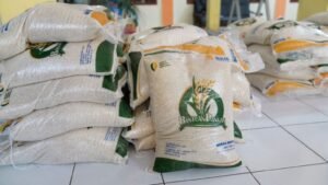 Pemerintah Percepat Penyaluran Bantuan Pangan di Tengah Tekanan Global