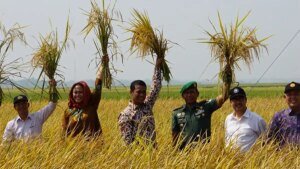 Ketahanan Pangan Indonesia Menguat di Tengah Tekanan Global