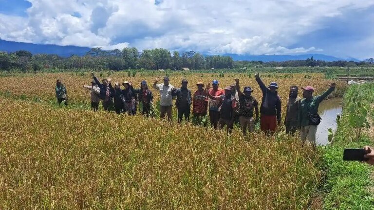 Penguatan Ekosistem Pangan Lokal Perkuat Keberhasilan MBG di Papua