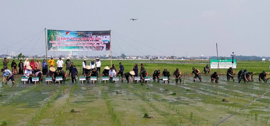Gerakan Tanam Serentak dalam Skala Nasional untuk Ketahanan Pangan