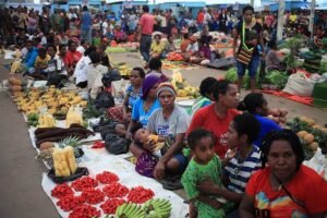 Pembangunan PSN di Papua Buka Peluang Usaha Baru bagi Masyarakat Adat