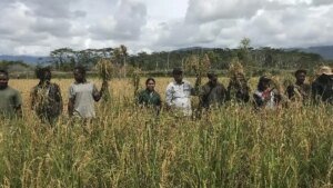Sinergi Lintas Pihak Perkuat Ekosistem Pangan Papua untuk Sukseskan Program MBG