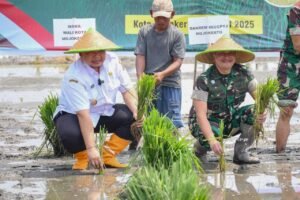 Ekonomi Hijau Indonesia Bernafas di Atas Kelestarian Ekosistem