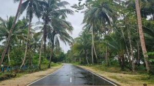 Pembangunan Jalan dan Listrik Percepat Transformasi Papua yang Maju dan Sejahtera