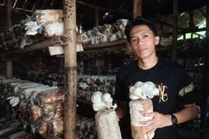 KUR dan Koperasi Merah Putih: Jalan Baru Memperkuat Ekonomi Desa
