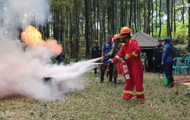 Gerak Cepat Pusat dan Daerah Hadapi Karhutla