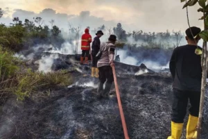 Penegakan Hukum Karhutla Diperkuat, Korporasi Nakal Disanksi Tegas