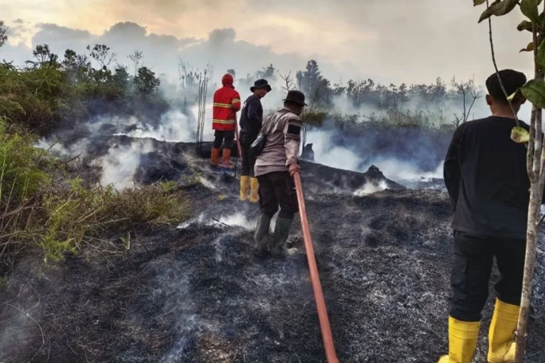 Penegakan Hukum Karhutla Diperkuat, Korporasi Nakal Disanksi Tegas