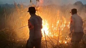 Presiden Prabowo Instruksikan Penanganan Karhutla Terpadu dari Kalimantan hingga Sumatera