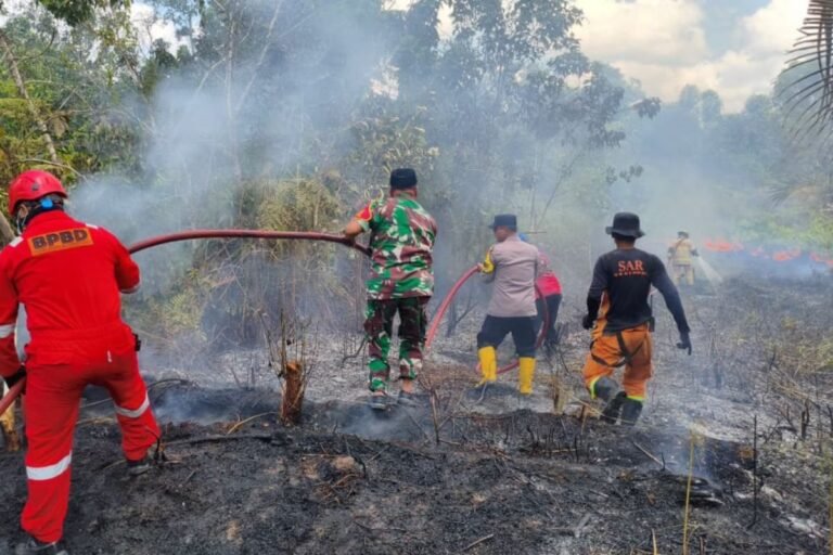 Pemerintah Galang Kekuatan Nasional Atasi Karhutla di Sejumlah Wilayah