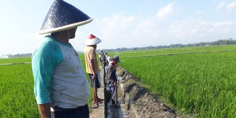Perlindungan Lahan Pertanian Diperkuat, Pemerintah Jaga Masa Depan Petani