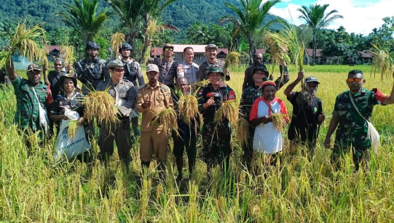 Pemerintah Perkuat Ketahanan Pangan Papua Berbasis Potensi Lokal dan Masyarakat Adat