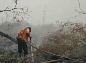 Hot Spot Nasional Turun, Bukti Nyata Kerja Keras Pemerintah Mengendalikan Karhutla