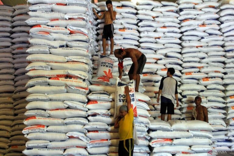 Cadangan Beras Terjaga, El Nino Diantisipasi Sejak Dini