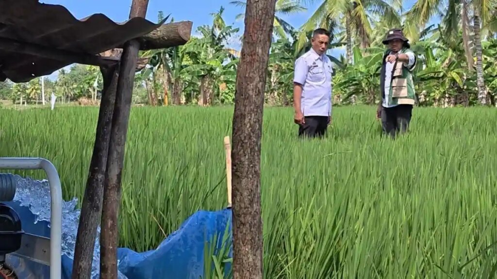 Kedaulatan Pangan: Bangsa Mampu Berdiri di Atas Produksi Sendiri