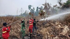 Penanganan Karhutla Terus Diintensifkan, Pemerintah Perkuat Koordinasi Lapangan
